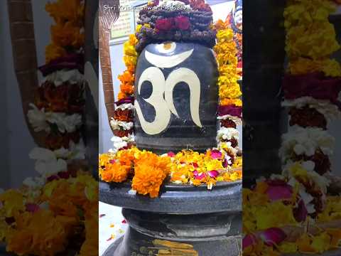 Mahakal Daily Shringar Darshan #shorts #mahakal #bhole #shiv #aarti #art ##short #hindutemple #om#yt