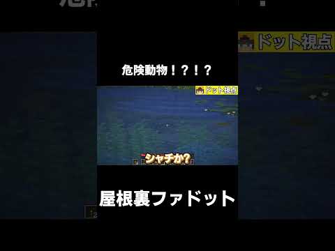 【原始時代に生きる】サメ！？クジラ！？それとも！？！？【マイクラ】【ゆっくり実況】【TFC】#shorts #minecraft #マイクラ #マインクラフト