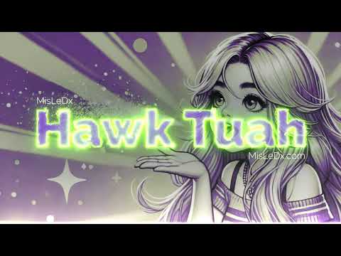 Hawk Tuah (Spit on That Thing) / MisLeDx