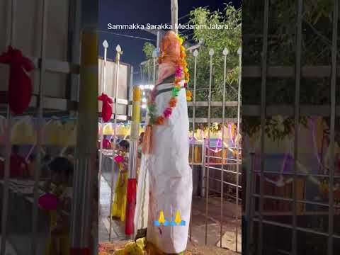 Sammakka And Saralamma jatara #medaramjathara2024 #samakkasarakka #shortvideo #ytshort