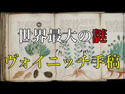 【都市伝説】世界最大の奇書 未だ解決されない 謎の ヴォイニッチ手稿