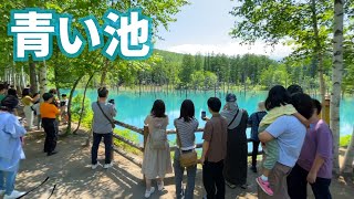 北海道美瑛の青い池と白髭の滝、旭川の７巻ソフトクリームとヤバかった展望台【クロスカブで北海道旅】