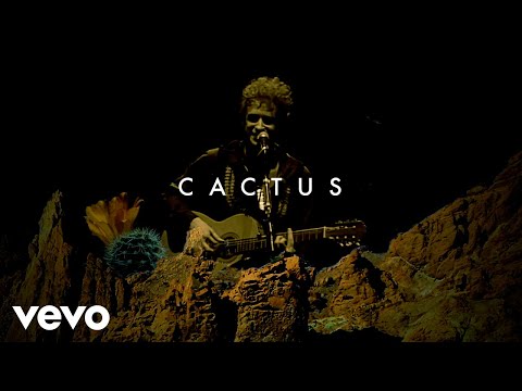 Gustavo Cerati - Cactus (Official Visualizer)