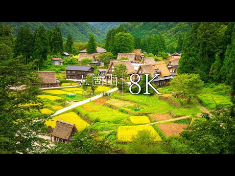 [Japan's unexplored village, summer scenery] Visit Gokayama Gassho-zukuri village - JAPAN in 8K