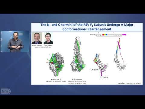 WALS: Rolla E. Dyer Lecture- Structure-Based Vaccine Antigen Design