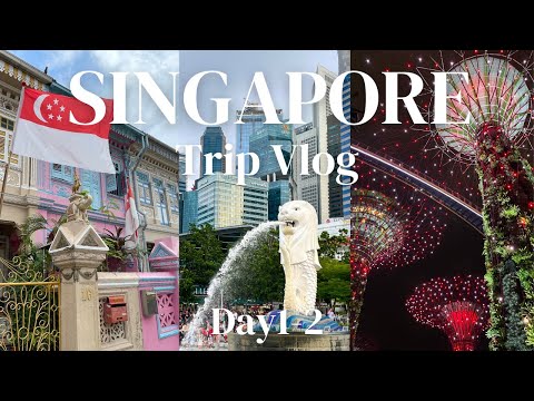 【シンガポール Vlog】Day1-2 シンガポール在住の友人と巡る 観光・夜のショー・ホーカー飯