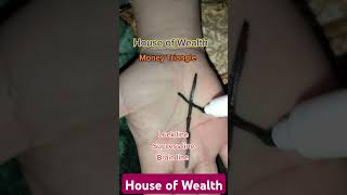 House of Wealth, Money Triangle #palmanalysis#handreading#lines #fortunetelling#palmlines#handlines