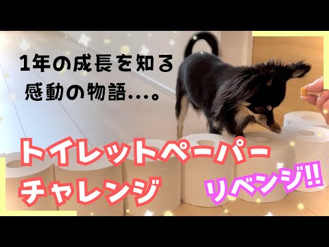 1年の成長を知るきっかけになりました【リベンジ】トイレットペーパーチャレンジ！