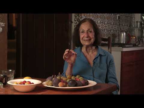 Claudia Roden - Discovering French cuisine and wine (7/155)