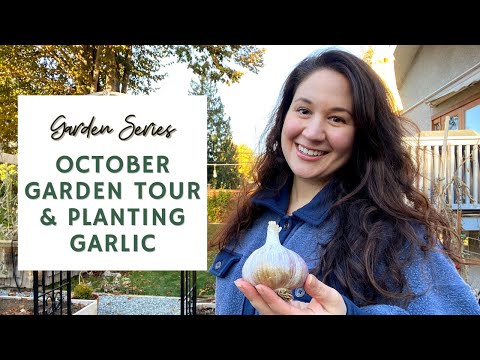 October Garden Tour & Planting Garlic 🧄🍂 | GARDEN SERIES