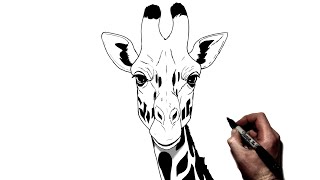 How To Draw A Giraffe | Step By Step