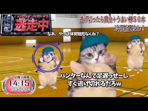 逃走中をすることになった猫たちの日常【猫ミーム】【猫マニ】