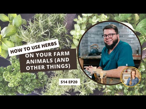 S14: E20: How to Use Herbs on Your Farm Animals (and other things)