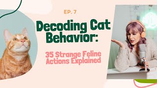 Decoding Cat Behavior: 35 Strange Feline Actions Explained