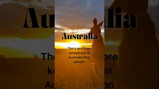 Unpopular Facts #5 #travel #Australia #topdestinations #kangaroo #travelchoices