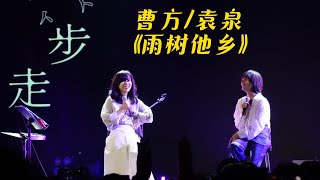 曹方 / 袁泉《雨树他乡》，袁泉果然是内地女演员中最会唱歌的！