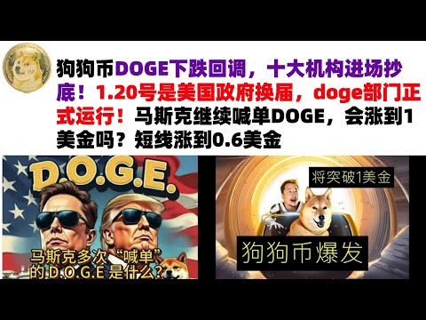 狗狗币DOGE下跌回调，十大机构进场抄底！加仓最佳机会，1.20号是美国政府换届，doge部门正式运行！马斯克继续喊单DOGE，会涨到1美金吗？短线涨到0.6美金#马斯克狗狗币#DOGE行情分析!