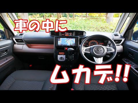 車の中にムカデ!! どこから入ってきたんだ…