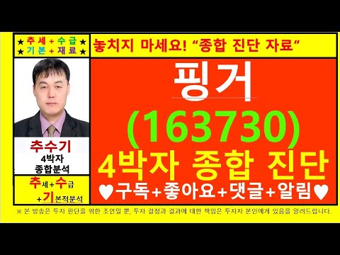 핑거(163730)종목진단및향후주가전망 추수기(추수)전문가