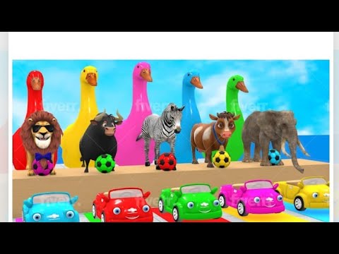 5 Giant Duck Cartoon, Paint & Animals Lion, Gorilla, Bear, Tiger, Cow Wild Animals Crossing fountain