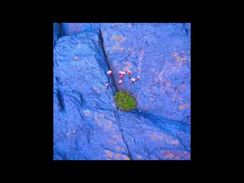 Caribou - You Can Do It