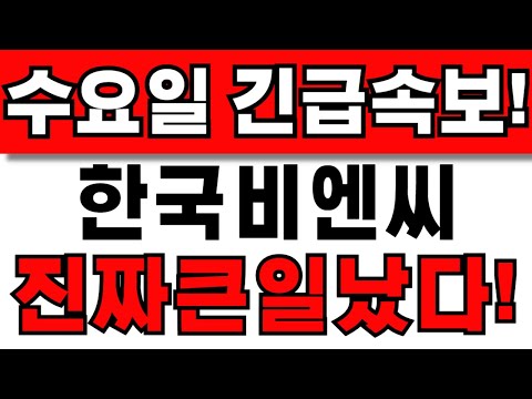 [한국비엔씨 주가전망] 주주님들 필수시청! 앞으로 이렇게 대응하세요