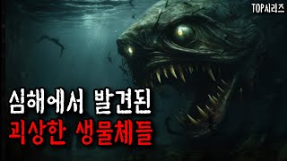 [사시랑이] 최근 발견된 심해의 심해어들 TOP5