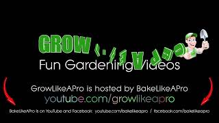 GrowLikeAPro - The 2023 Season Videos Are Coming Soon !!