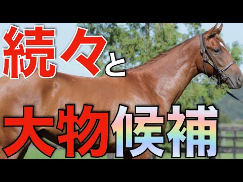 キタサンブラック産駒が重要新馬戦で快勝！素質馬続出で楽しみ広がる。