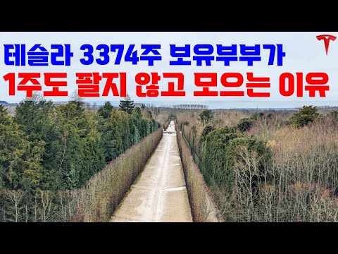 테슬라는 평생 모아가기에도 좋습니다!