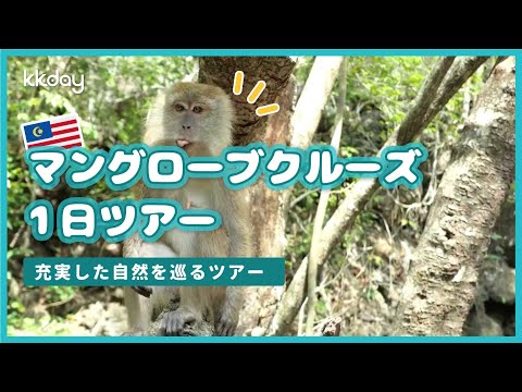 【マレーシア旅行】ボートでマレーシアの自然を探検！マングローブクルーズ1日ツアー