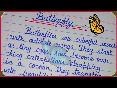 Short Essay on Butterfly | Butterfly Essay in English | Essay in Cursive Handwriting | Butterfly✨🦋🤎