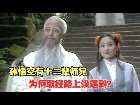 孙悟空有十二辈师兄，为何取经路上没遇到？菩提祖师又去了何处？