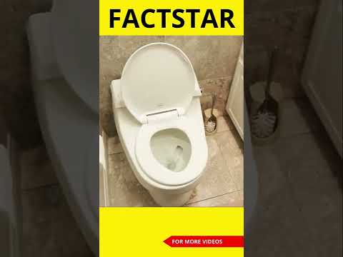 Western toilets se apko Cancer ho sakta hai?😳 | #factstarshorts #youtubeshorts #shorts #ytshorts