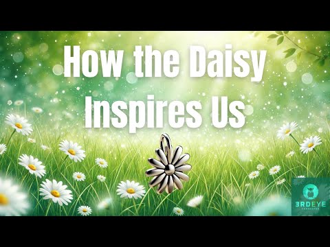 How the Daisy Charm Inspires Us 🌼