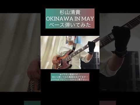 OKINAWA IN MAY / 杉山清貴 【ベース弾いてみた】 #shorts #ベース #ベース弾いてみた #bass #basscover #杉山清貴