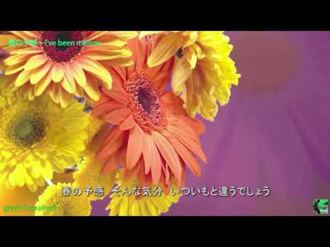 春の予感 ～ I've been mellow － 南 沙織 / SAORI MINAMI《歌詞付き》