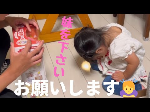 言葉がゆっくりな娘に赤ちゃんをプレゼントしたら…絶叫出産した助産師。2歳2ヶ月女の子👧