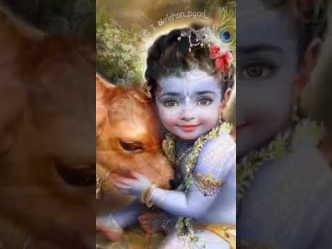 janmastmi status #krishnastatus #janmashtami #vrindavan #krishnabirthday #youtubeshorts #viralvideo