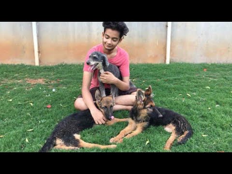 Zabi Khan College in Hyderabad | Animal Shelter | Kg Reddy College | MTV Roadies Fame