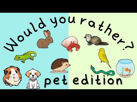 Would You Rather…? Pet Edition | This or That | Fun Games for Kids