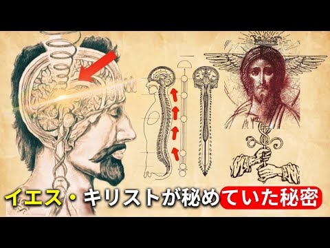 イエスの隠された教えによる松果体の活性化 - 内なるキリスト意識 - 引き寄せの法則