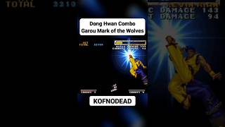 Kim Dong Hwan Combo Garou Mark of the Wolves #retrogaming #kofnodead #garoumarkofthewolves #shorts