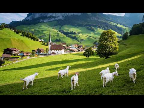 Switzerland Appenzell Countryside Life 🇨🇭 Relaxing Walk in the Most Beautiful Swiss Village