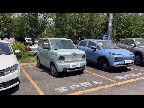 [중국 천만원 전기차] $7600 Geely Panda Mini / Tiny EV / 지리 판다 미니 전기차 / 吉利汽车熊猫