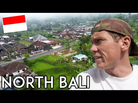 The OTHER Side of Bali (Travel Vlog)