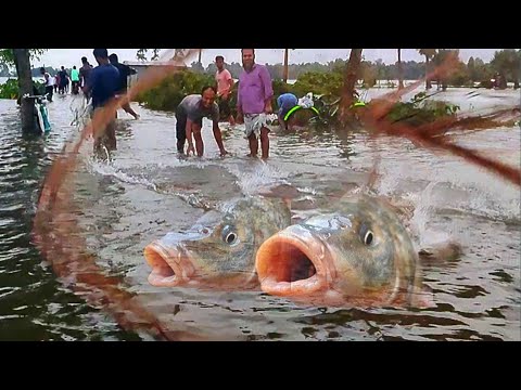 Road Fishing Video😱 | Nice to see the fishing scene of the village boy | Fishing Video flood