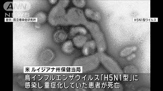 米で鳥インフルエンザ感染で初めての死者　「H5N1型」　ルイジアナ州(2025年1月7日)