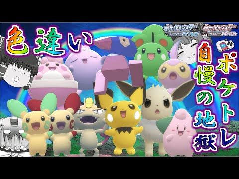 【ポケモンBDSP】ありがとうポケトレ！自慢の裏庭に出てくる色違い…ポケトレで全部ゲットしちゃお♡（色違いイーブイは8匹ゲットです）【ゆっくり実況】