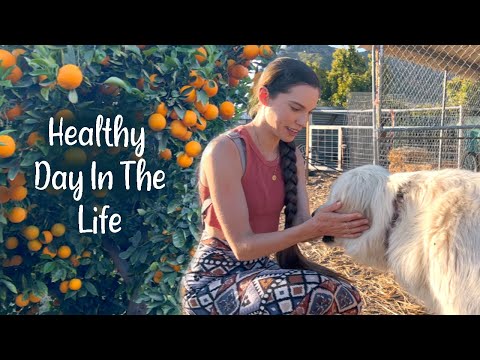 MY VISIT TO AN ORGANIC FARM!! Ab workout, Juicing and Sow a Heart Farm